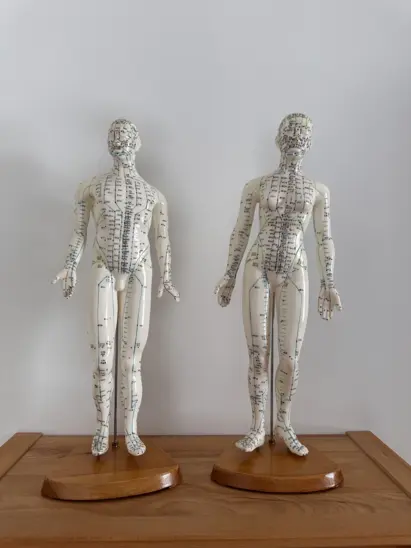 TAMENA-Ganzheitliche-Schmerztherapie-IMG_8709