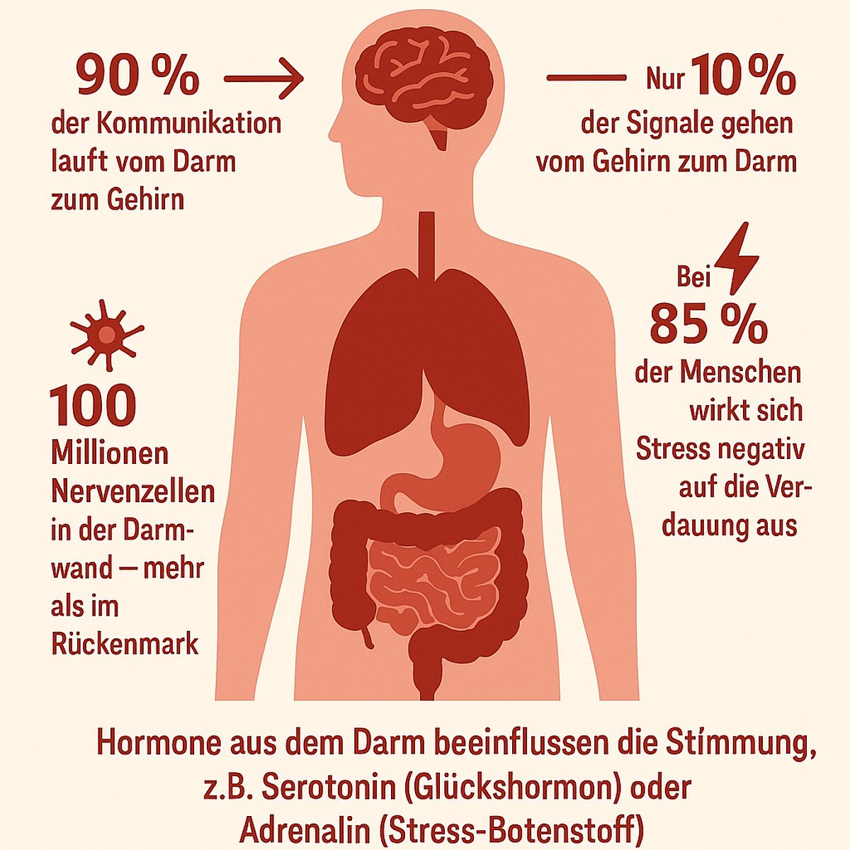 darm-hirn-achse