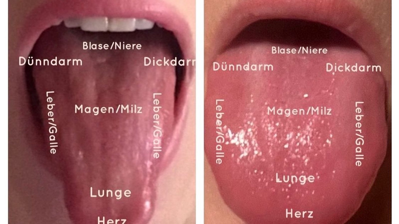 Gleiche_Zunge__gleiche_Person__