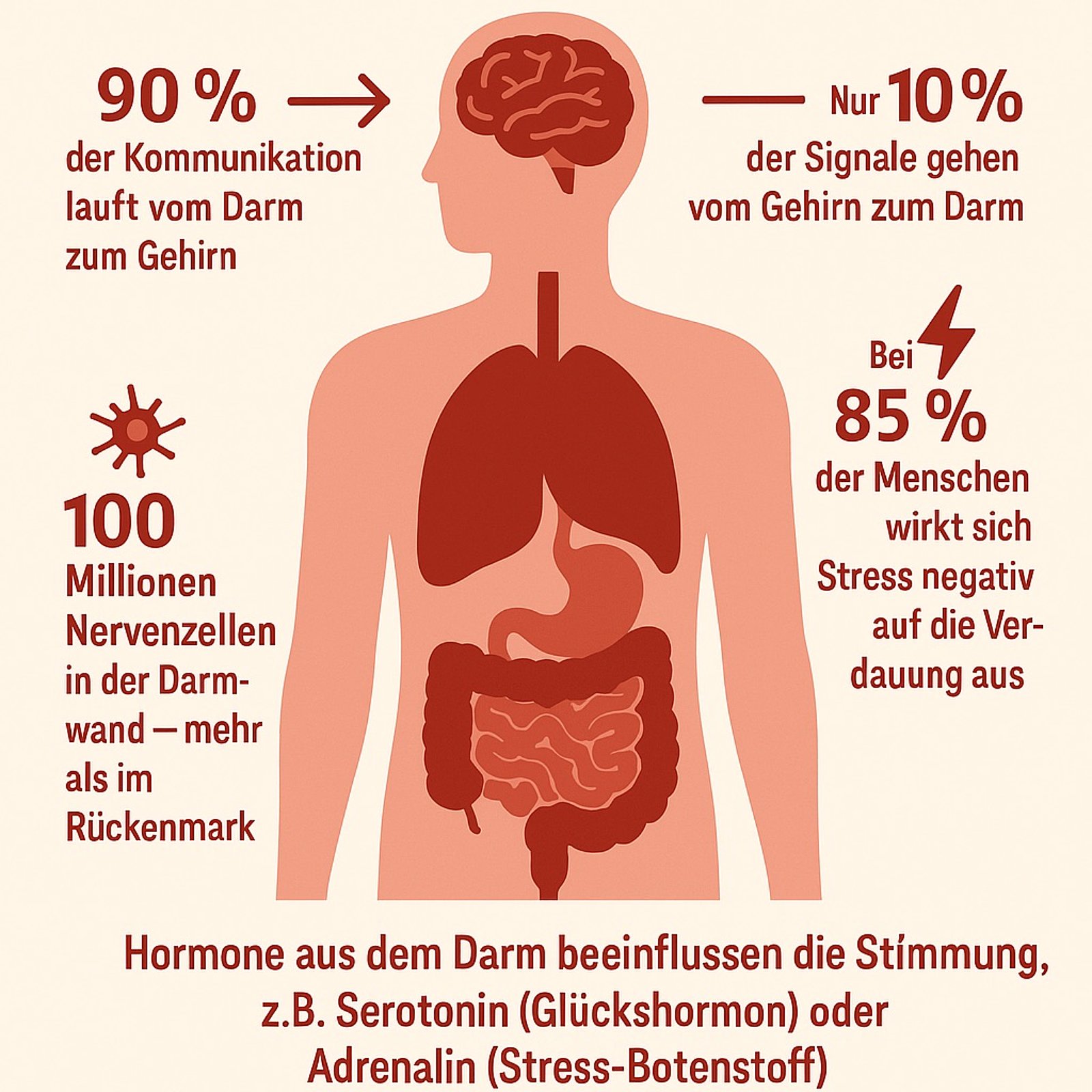 darm-hirn-achse