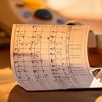 kinesiologischen Testen- Testbild